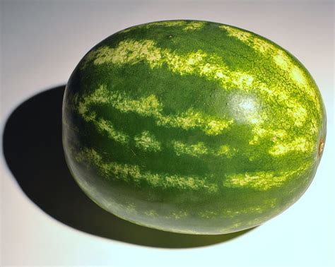 watermelon hard hat test|dropping metal on watermelon.